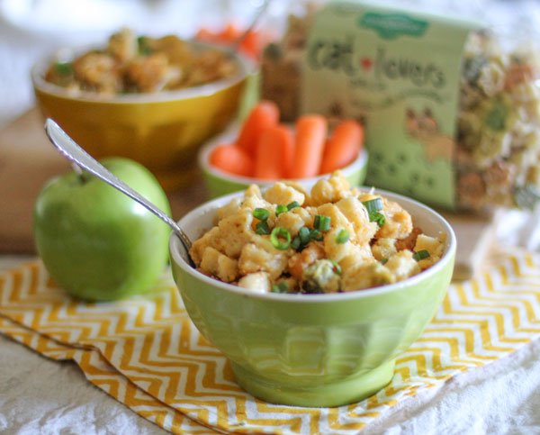 Homemade Mac 'n Cheese - World of Pastabilities